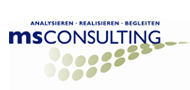 SWOT Partner MS Consulting