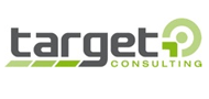 Logo von target consulting